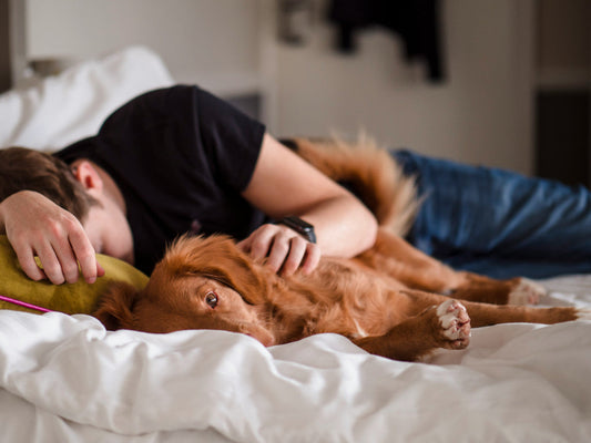 How to Use Passion Flower For Sleep