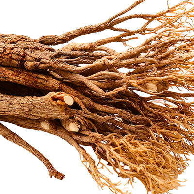 Valerian Root 